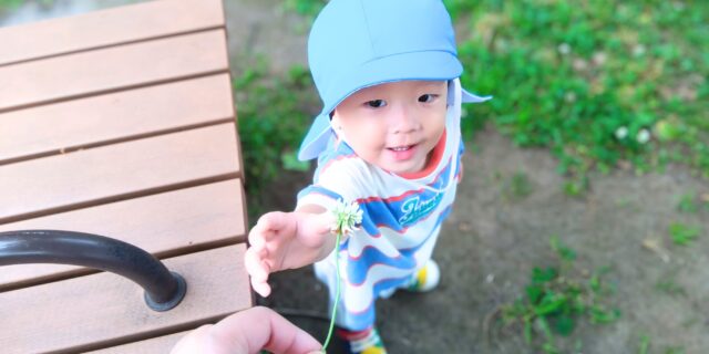 1000455c-ebcd-40b2-8628-3918a4f49e4d